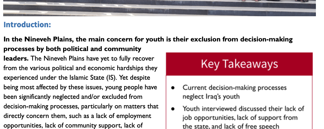 Policy Brief - The Role of Youth in Promoting Social Cohesion in the Nineveh Plains